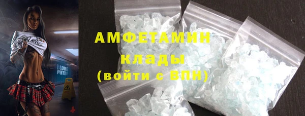 спиды Богородицк