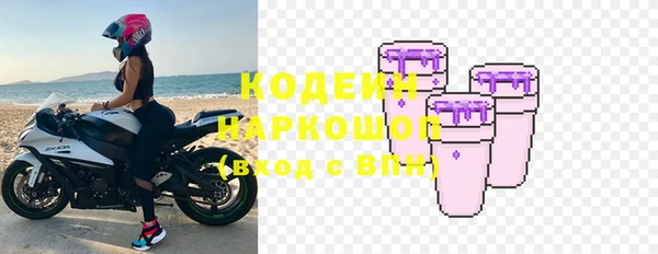 индика Богданович