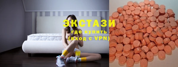 спиды Богородицк