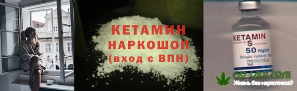 индика Богданович