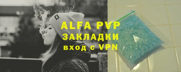 спиды Богородицк