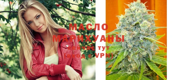спиды Богородицк