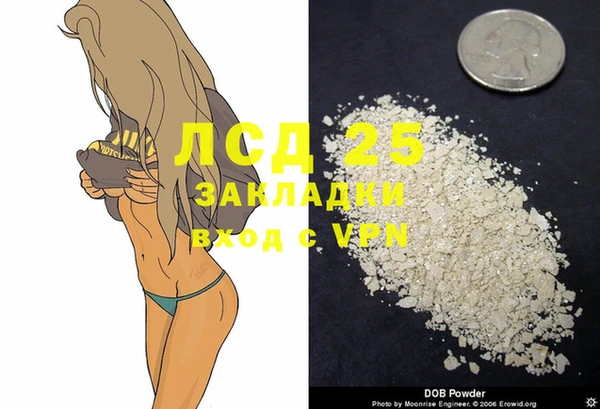 индика Богданович