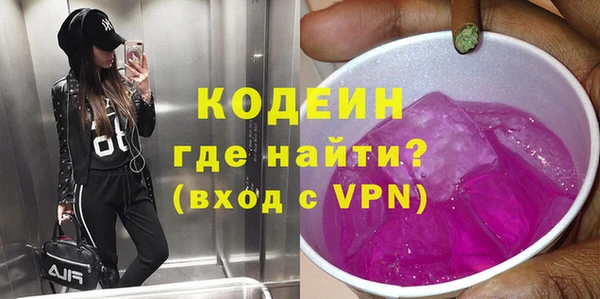 индика Богданович