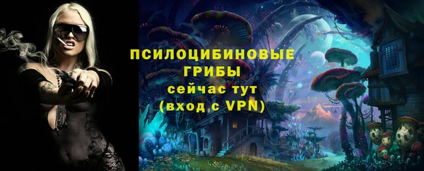 амфетамин Богородск