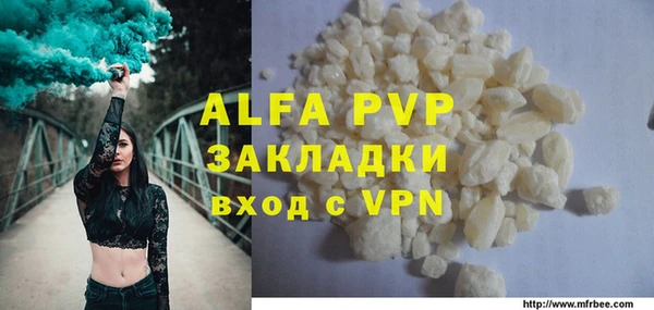 спиды Богородицк