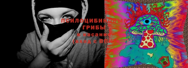 прущие грибы Белоозёрский