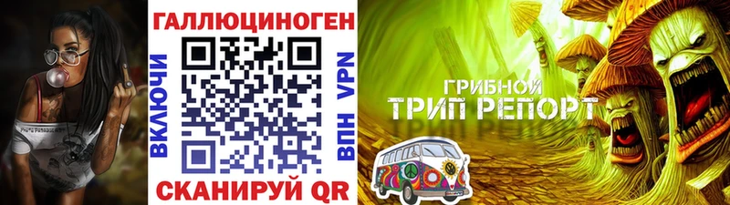 omg зеркало  Белореченск  Галлюциногенные грибы мицелий  закладки 